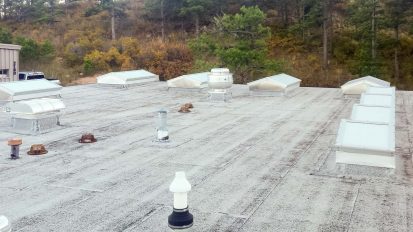 US Air Force Academy Falconry Mews Skylight