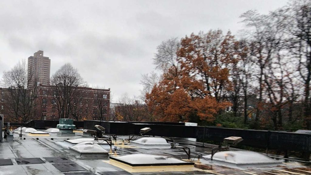 Rooftop view on a rainy day with puddles, gray skylights, and scattered leaves. Bare trees and a brown building with a tall tower in the background. Overcast sky.