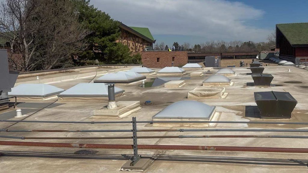 Flat rooftop with multiple white skylights, ventilation units, and trees in the background under a partly cloudy sky, conveying an industrial setting.