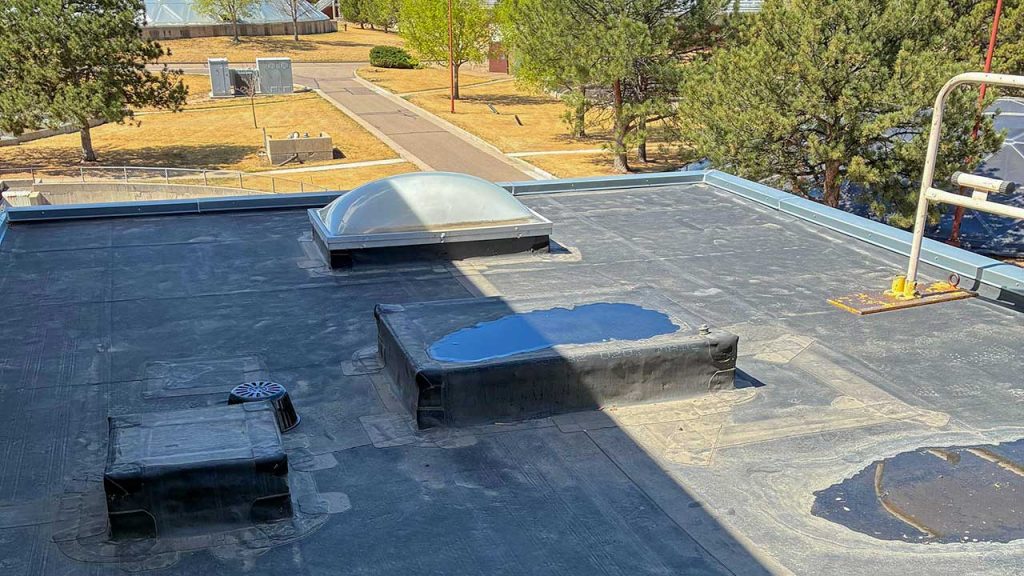 Flat rooftop with a dome-like skylight and a rectangular structure with a water puddle. In the background, trees and a grassy area are visible.