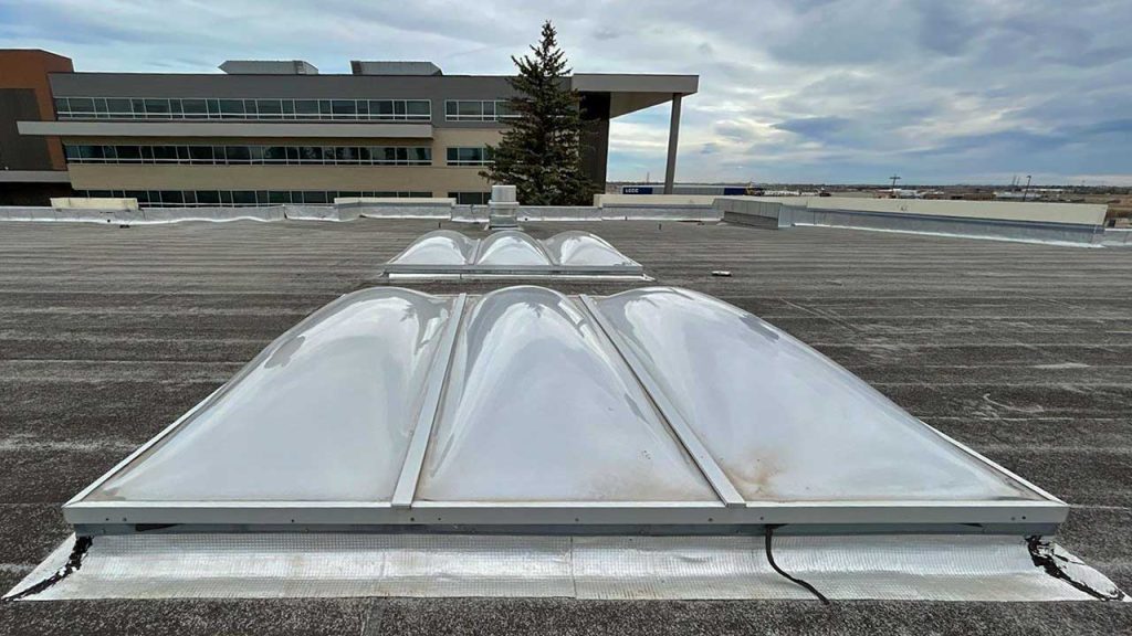 A flat rooftop features several convex skylights reflecting the overcast sky. In the background, a modern building and a solitary tree are visible.
