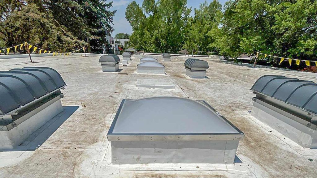 New American Skylight units installed on a commercial flat roof, surrounded by other industrial skylights and mechanical equipment.